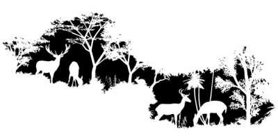 Sticker  Dessiner des animaux en noir et blanc sur le fond de la forêt