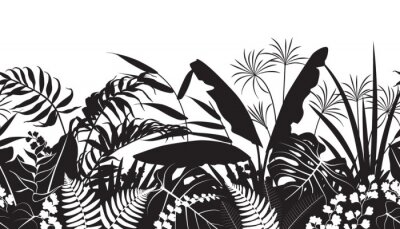 Sticker  Dessiner des feuilles tropicales en noir et blanc