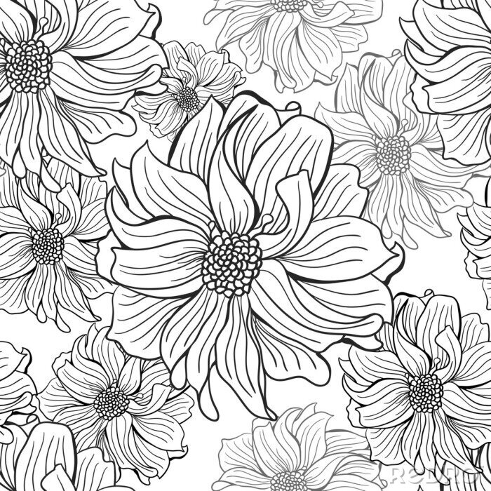 Sticker  Dessinés à la main des fleurs de dahlia en noir et blanc, sans couture.