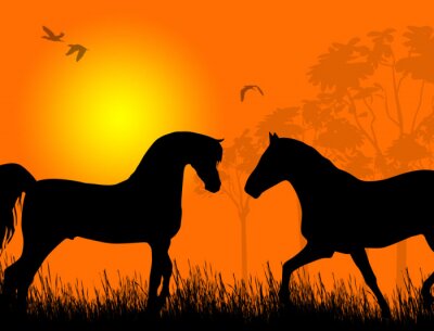 Deux chevaux au coucher du soleil illustration vectorielle de fond