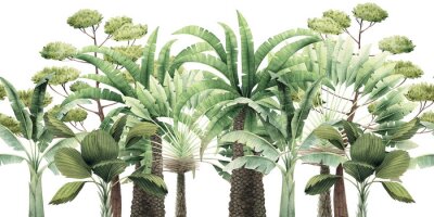 Sticker  Différentes espèces d'arbres tropicaux