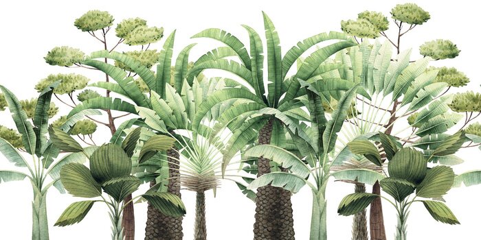 Sticker  Différentes espèces d'arbres tropicaux