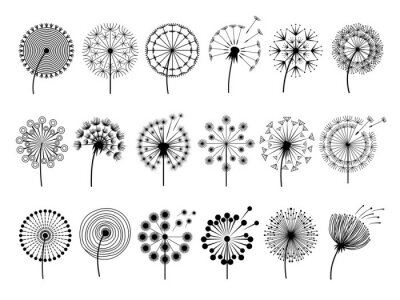 Sticker  Différents modèles de pissenlits fleurs noir et blanc