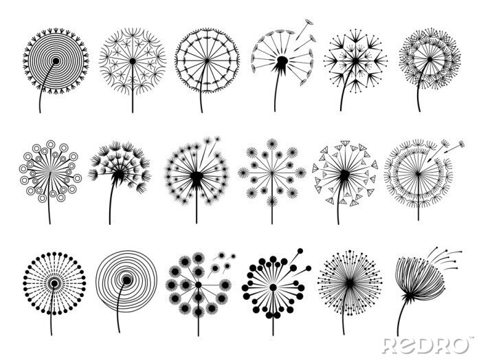 Sticker  Différents modèles de pissenlits fleurs noir et blanc