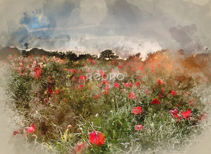 Sticker  Digital watercolour painting of Poppy field landscape in English countryside in Summer