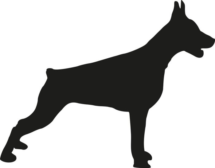 Sticker  Dobermann debout