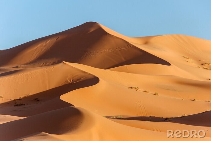 Sticker  dune de sable doré dans le désert du sahara