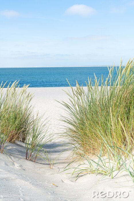 Sticker  Dune with beach grass.