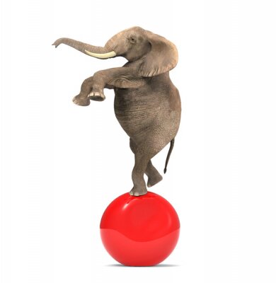 Sticker  Elephant en équilibre sur une grosse boule