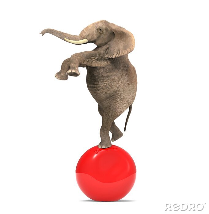Sticker  Elephant en équilibre sur une grosse boule