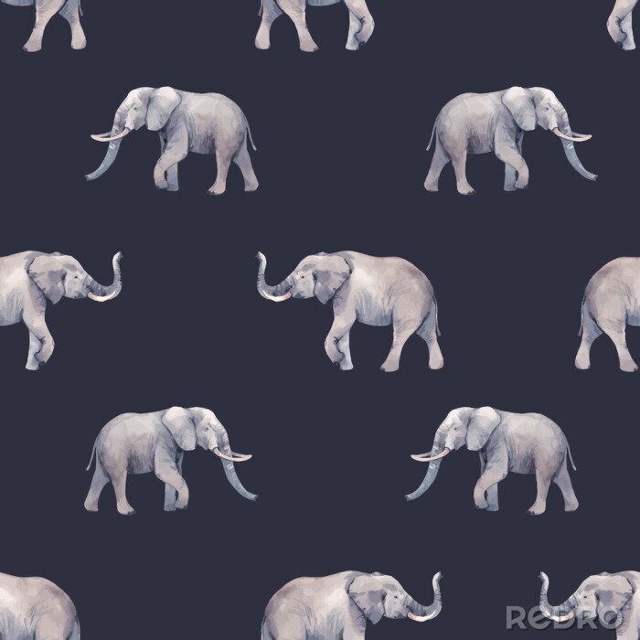 Sticker  Éléphants réalistes sur fond sombre