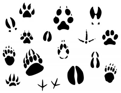Sticker  Empreintes noires de diverses espèces animales
