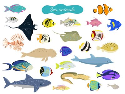 Sticker  Ensemble d'animaux marins dessin animé sur fond blanc.
