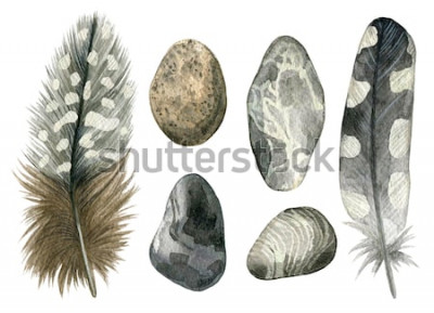 Sticker  Ensemble d'aquarelle dessinés à la main de plumes d'oiseau gris et de galets. Collection de boho coloré isolé sur fond blanc