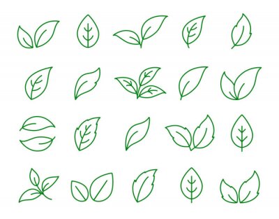ensemble d'icônes linéaires feuille verte sur blanc