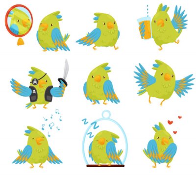 Sticker  Ensemble de vecteur plat de perroquet dans différentes situations. Oiseau mignon avec des plumes vertes et bleues vives. Personnage de dessin animé drôle