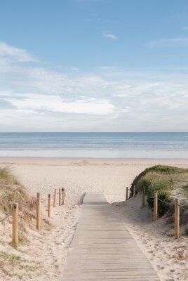 Sticker  Entrada a la playa 02