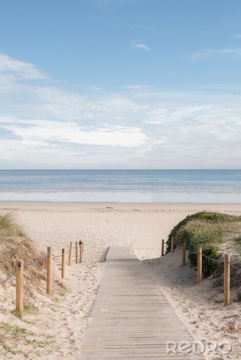 Sticker  Entrada a la playa 02