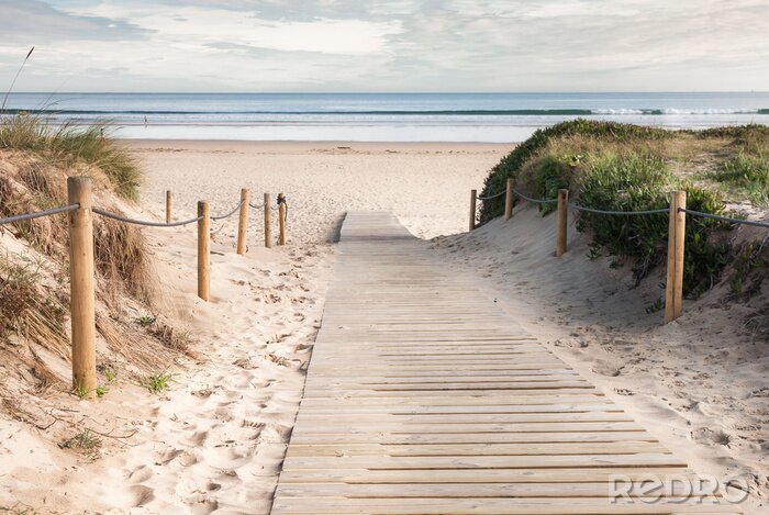 Sticker  Entrée de plage en bois