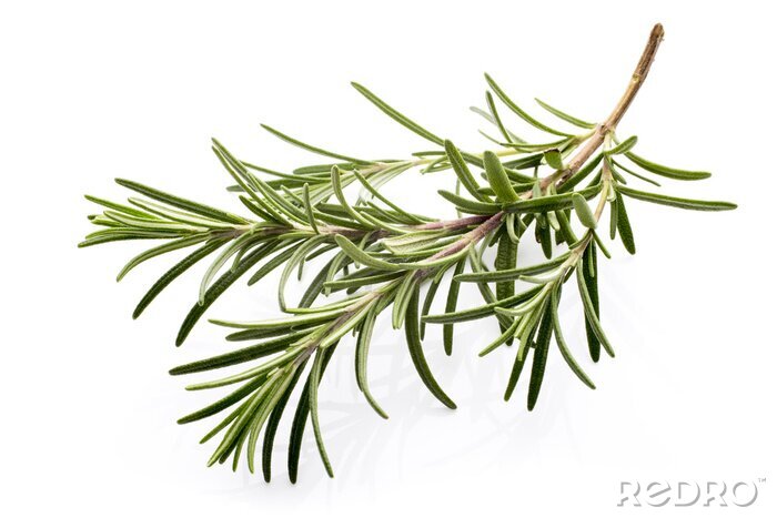 Sticker  Épice romarin