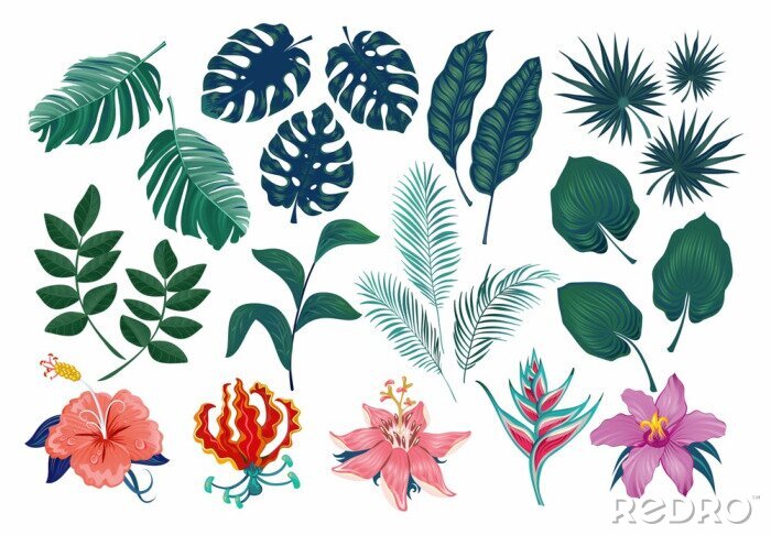Sticker  Étiquettes et autocollants tropicaux mignons. Ensemble d'été de feuilles et de fleurs. Illustration vectorielle