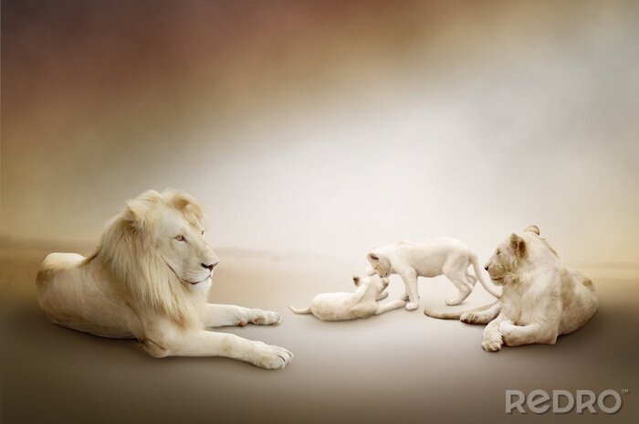 Sticker  Famille de lions