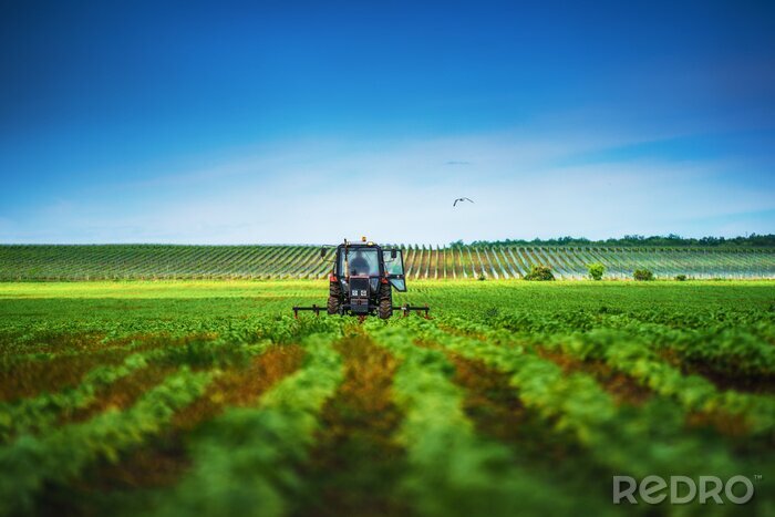 Sticker  Farmer in tractor preparing land with cultivator in spring