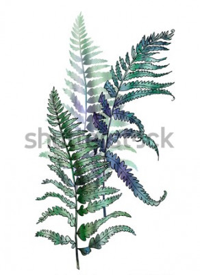 Sticker  Fern