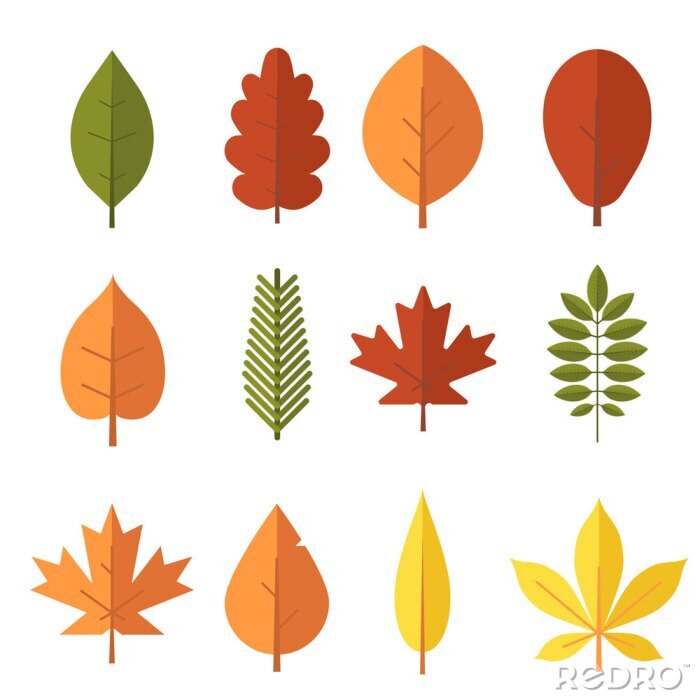 Sticker  Feuille d'automne plat design set. Vert, rouge, orange, tombé, automne, feuilles, collection. Érable, épinette, chêne, rowan, bouleau et plus de feuilles vecteur isolé sur fond blanc.