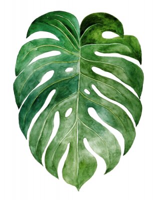 Feuille de monstera expressive