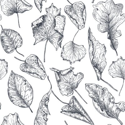 Sticker  Feuilles d'automne sèches