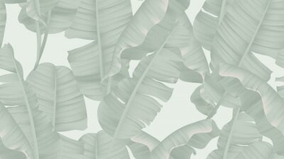 Papier peint à motif  Feuilles de bananier gris