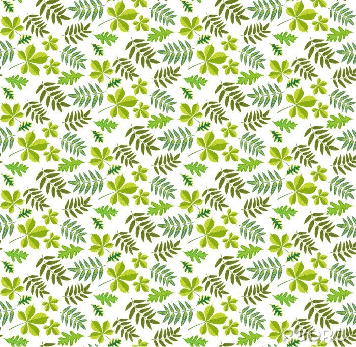 Sticker  Feuilles de fond transparente