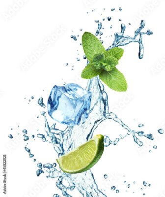 Sticker  Feuilles de menthe, citron vert et glaçons