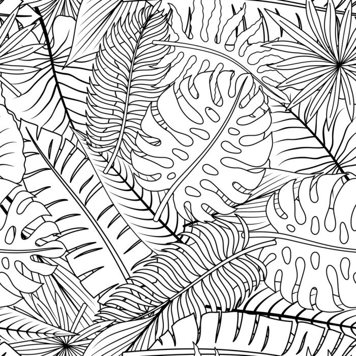 Sticker  Feuilles de monstera et autres plantes exotiques