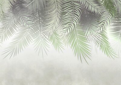Feuilles de palmier brumeuses sur le mur