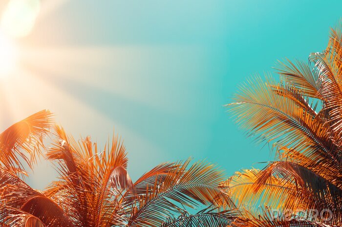 Sticker  Feuilles de palmier colorées