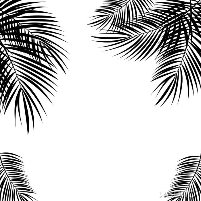 Sticker  Feuilles de palmier dans les coins du graphique