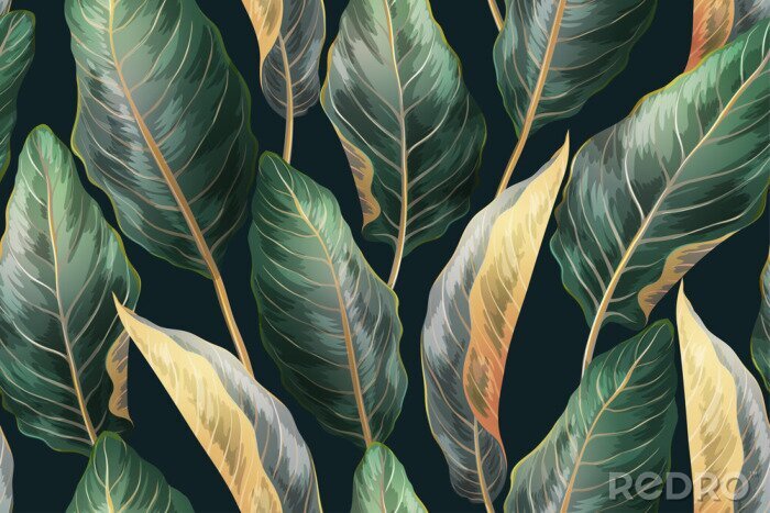 Sticker  Feuilles de plantes exotiques sur fond sombre