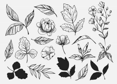 Sticker  Feuilles ensemble. Éléments décoratifs dessinés à la main. Illustration vectorielle