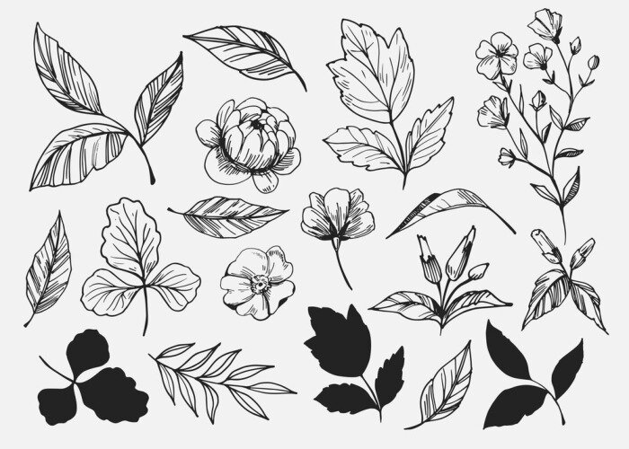 Sticker  Feuilles ensemble. Éléments décoratifs dessinés à la main. Illustration vectorielle