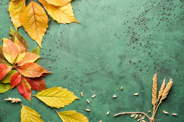 Sticker  Feuilles et pointes sur fond vert