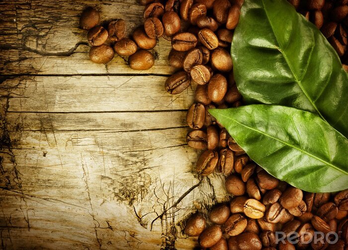 Sticker  Feuilles grains de café et bois