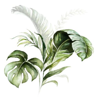 Sticker  Feuilles tropicales sur fond blanc