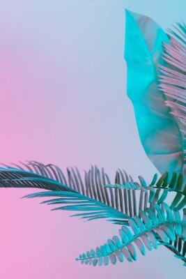 Sticker  Feuilles tropicales turquoise sur fond rose