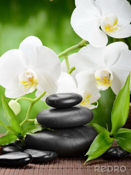 Sticker  Feuilles vertes de bambou, pierre et orchidées