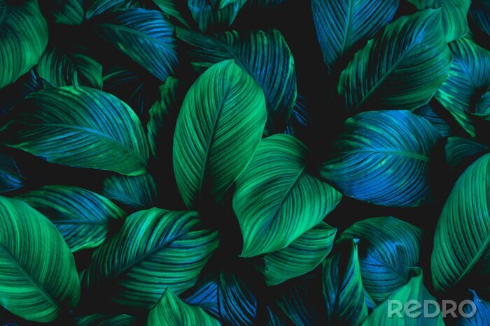 Sticker  Feuilles vertes foncées