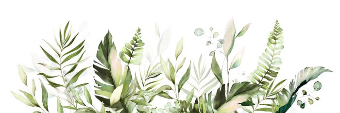 Sticker  Feuilles vertes sur fond blanc