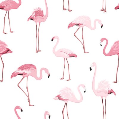 Flamants rose clair sur motif fond blanc