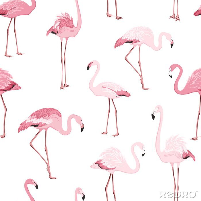 Sticker  Flamants rose clair sur motif fond blanc